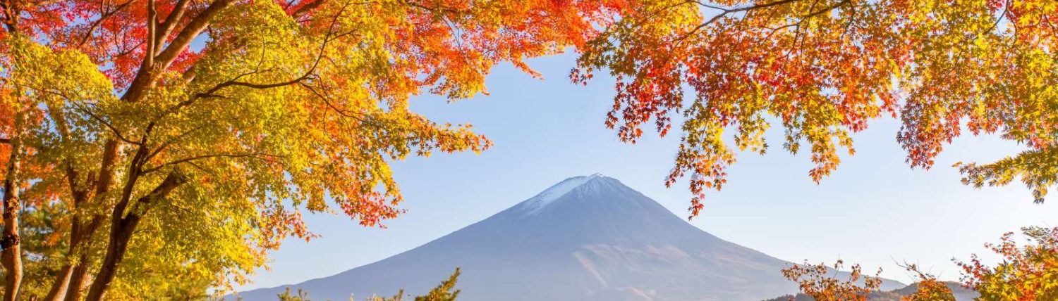 溺れた時が、、